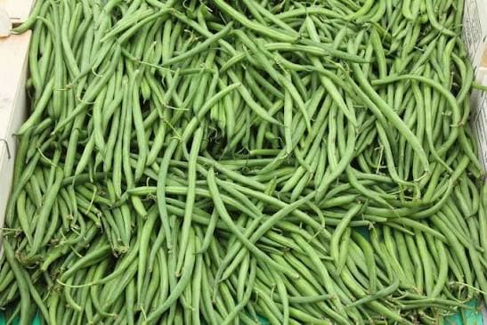 Haricot vert
