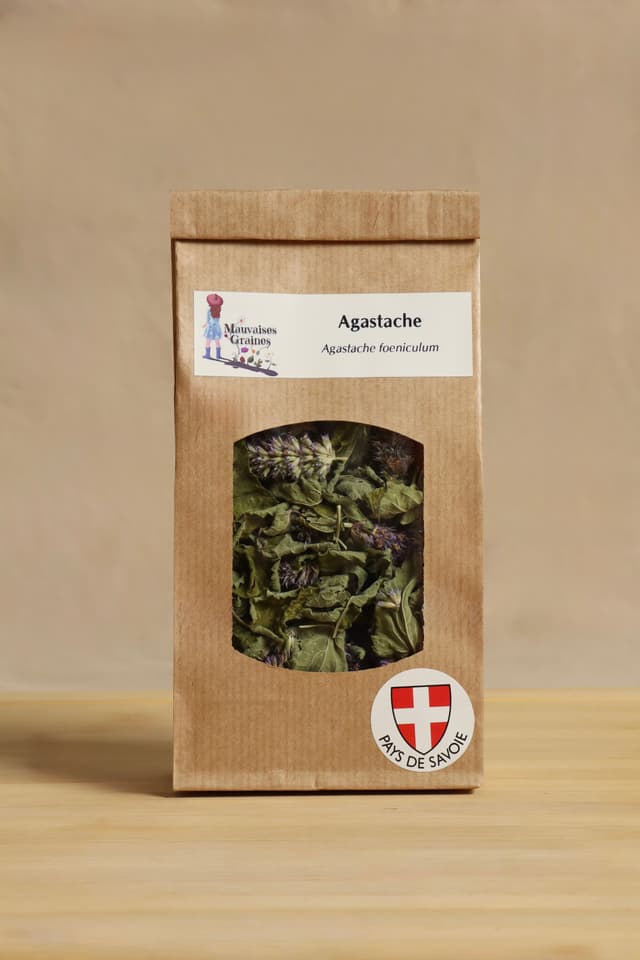 Agastache