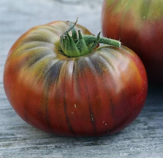 Tomate ancienne
